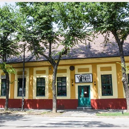 Stari Slon Hotel Zombor Kültér fotó